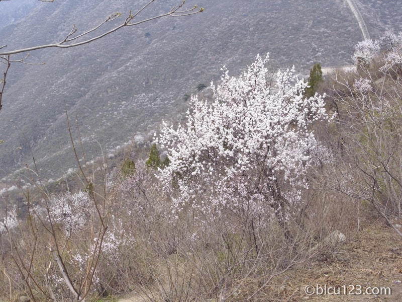 万里の長城