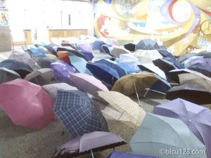 図書館に並べられた傘
